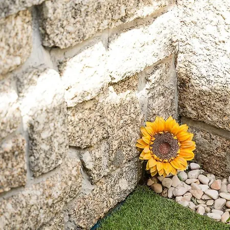 شقة Modern Stone Loft